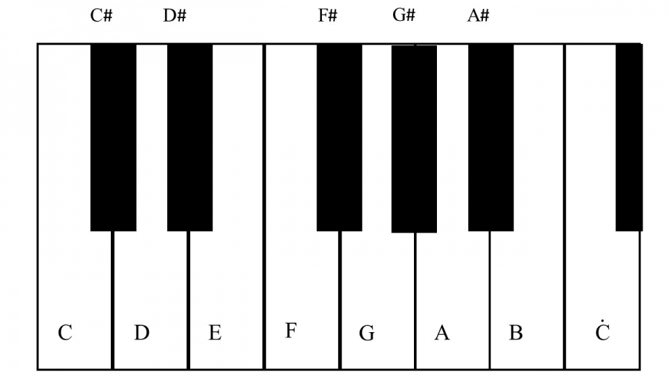 圖二、鋼琴琴鍵與音階